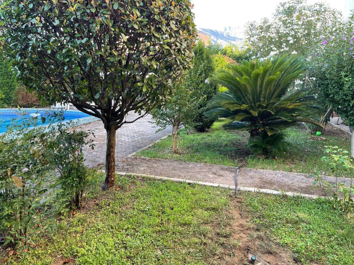 Celuga 3 Bedroom Apartment With Pool מראה חיצוני תמונה
