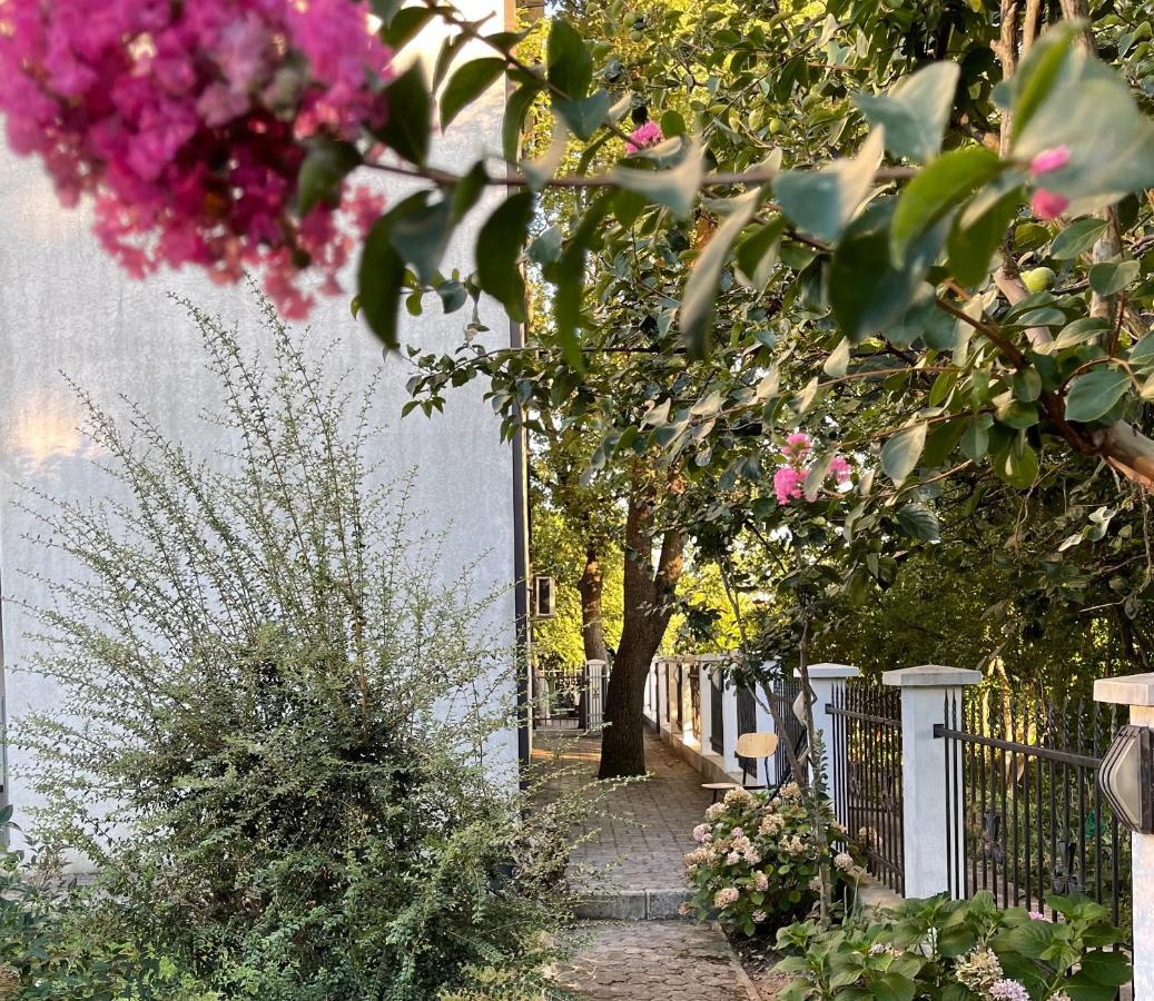 Celuga 3 Bedroom Apartment With Pool מראה חיצוני תמונה