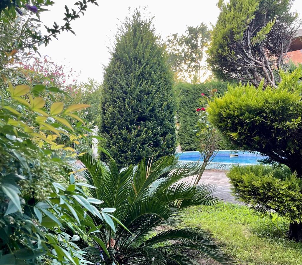 Celuga 3 Bedroom Apartment With Pool מראה חיצוני תמונה